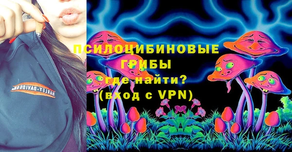 a pvp Белокуриха