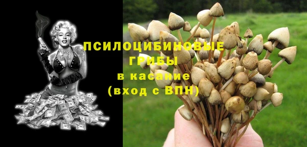 apvp Бугульма