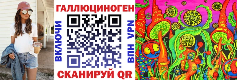 купить наркоту  Вязники  mega ТОР  Псилоцибиновые грибы Psilocybine cubensis 