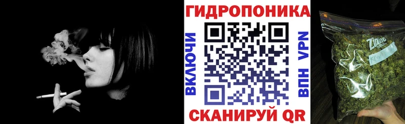 Конопля MAZAR  Вязники 